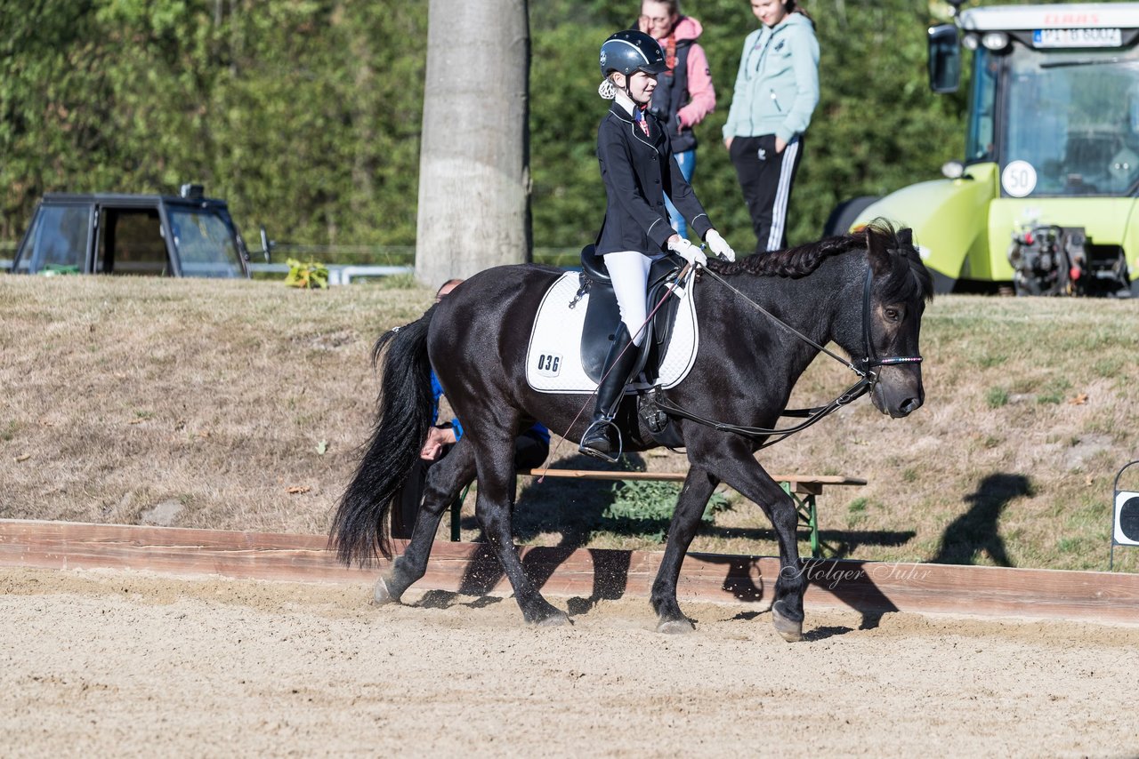 Bild 63 - Pony Akademie Turnier